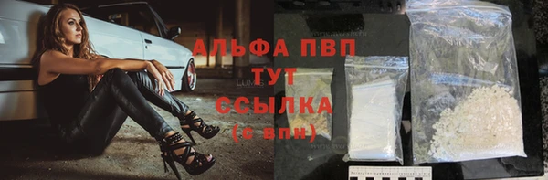 шишки Бабаево