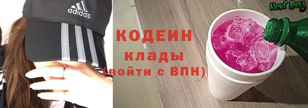 шишки Бабаево