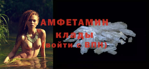 шишки Бабаево