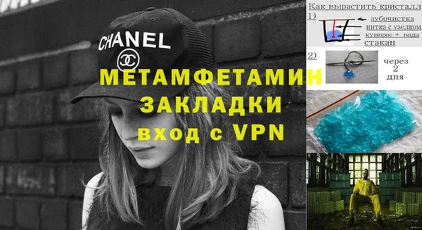 шишки Бабаево