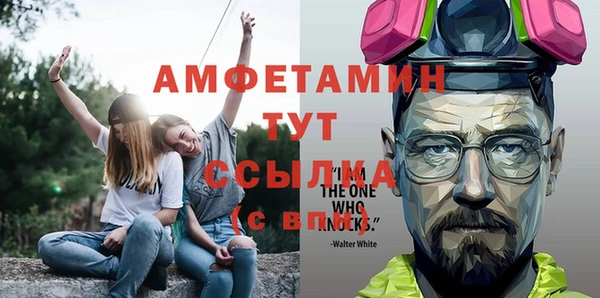 шишки Бабаево