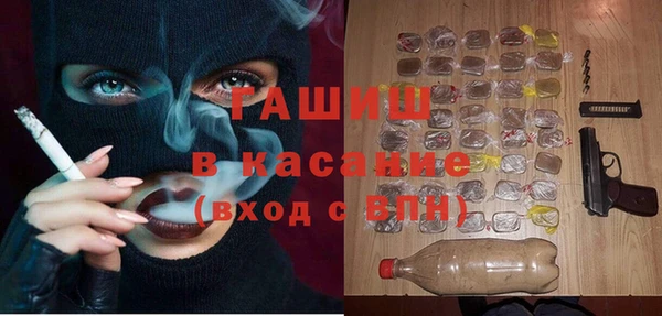 шишки Бабаево