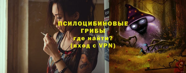 шишки Бабаево