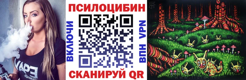 наркошоп  Заволжье  Галлюциногенные грибы Psilocybe 