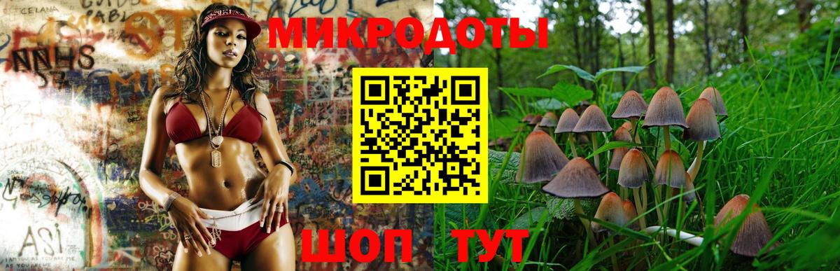 Галлюциногенные грибы GOLDEN TEACHER Заволжье